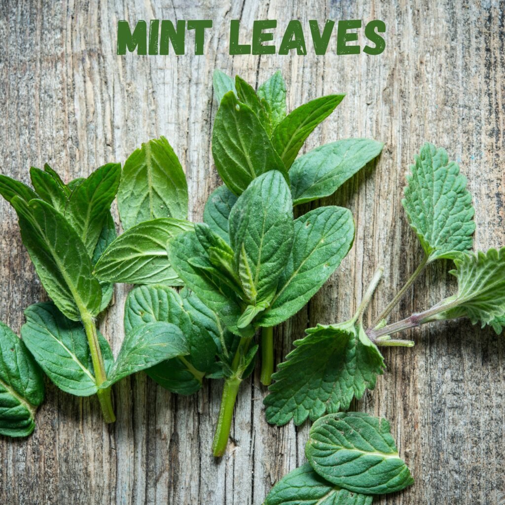 MINT LEAVES: